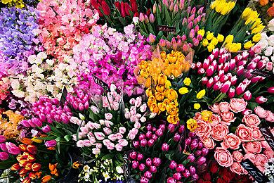 Fami通新一周销量榜 《塞尔达传说：御天之剑HD》登顶