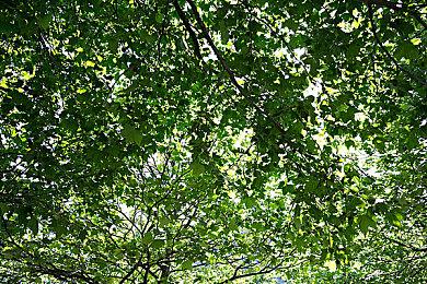 VR解谜续作《我觉得你会死3：机器里的齿轮》公布